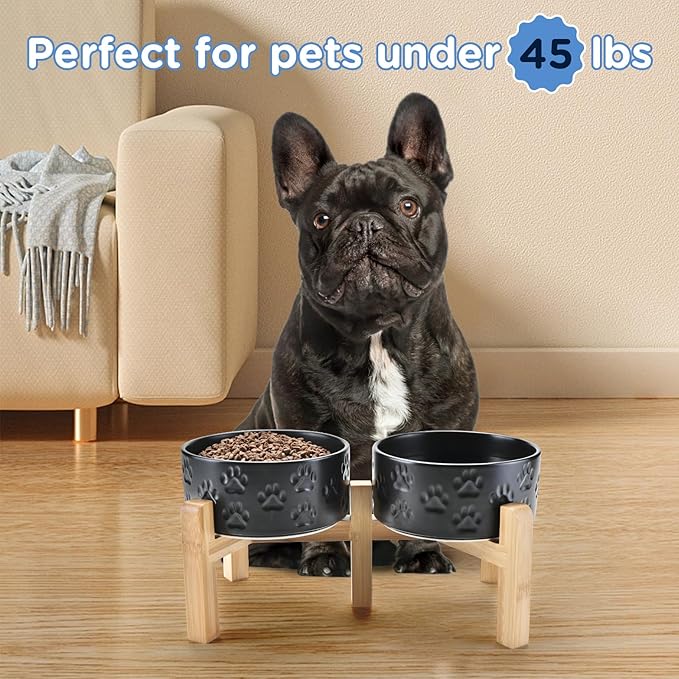SPUNKYJUNKY Elevated Dog Bowls Ceramic, 6.1&