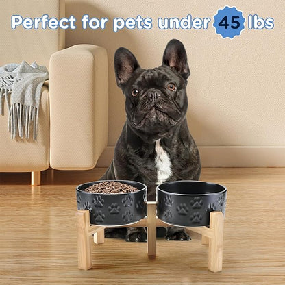 SPUNKYJUNKY Elevated Dog Bowls Ceramic, 6.1&