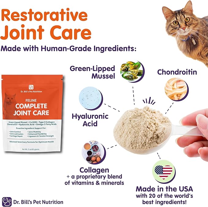 Dr. Bill’s Feline Complete Joint Care | Advanced Hip &amp; Joint Supplement for Cats | Green Lipped Mussel Extract, Collagen Type II, Chondroitin, Hyaluronic Acid, Omega 3 and Colostrum | Powder, 85g