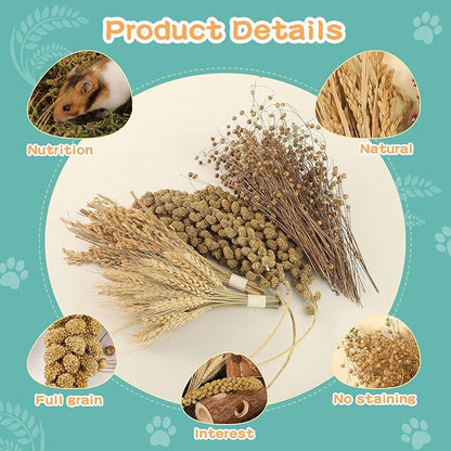 Hamster Spray Set - Natural Snack Grains &amp; Chew Toys for Cage Decoration Accessories, Soft Bedding for Dwarf Syrian Hamsters, Gerbils, Mice &amp; Small Pets