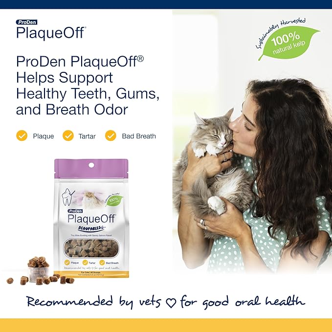 ProDen PlaqueOff Scoopables: Salmon-Flavored Dental Bites for Cats - Natural Kelp Formula for Plaque &amp; Tartar Control, Freshens Breath- 45 Scoops