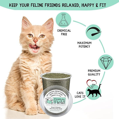 from The Field | Fine Ground Stalkless Catnip | Premium USA-Grown Catnip for Toys &amp; Playtime | Fresh, Potent, Non-Toxic, Eco-Friendly | Safe for Kittens &amp; Cats | Resealable 3 Oz Bag