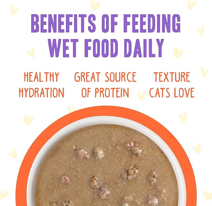 Weruva B.F.F. OMG - Best Feline Friend Oh My Gravy!, Chicken &amp; Salmon Shine Bright with Chicken &amp; Salmon in Gravy, 2.8oz Pouch (Pack of 12)