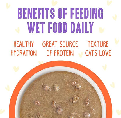 Weruva B.F.F. OMG - Best Feline Friend Oh My Gravy!, Chicken &amp; Salmon Shine Bright with Chicken &amp; Salmon in Gravy, 2.8oz Pouch (Pack of 12)