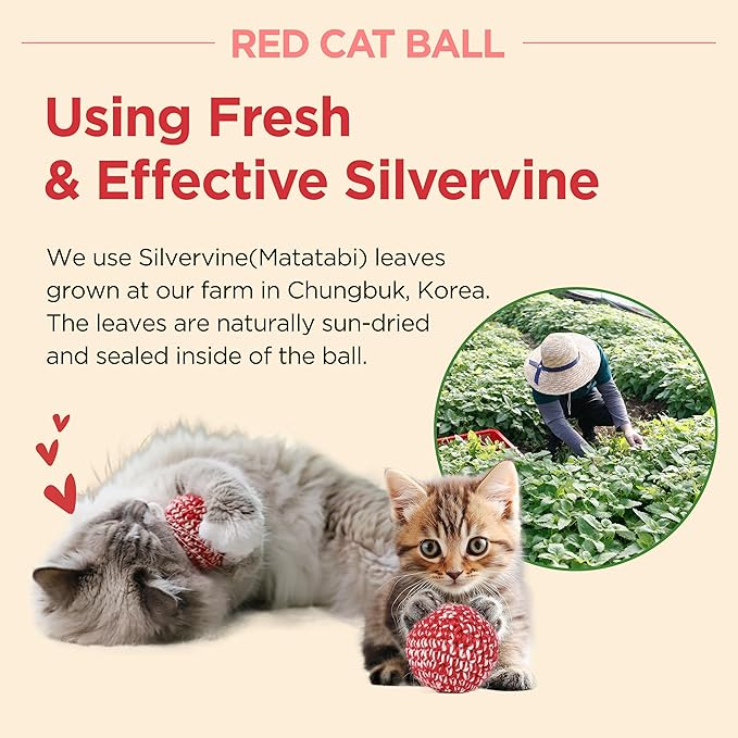 JAYU PET Red Cat Ball [W/Bell Version] - Handmade Silvervine Cat Toy with Catnip, Interactive Matatabi Ball for Indoor Cats &amp; Kittens, Feline Play Toy &amp; Gift (2.7 inch)