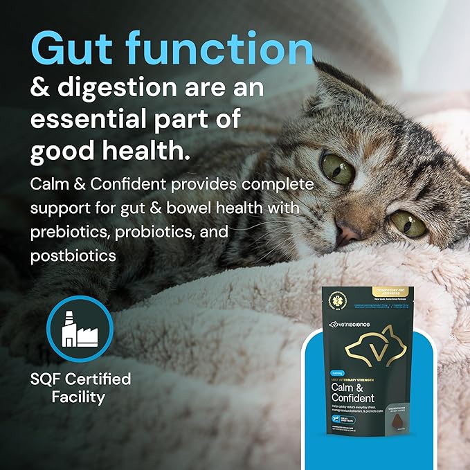 VetriScience Veterinary Strength Calm &amp; Confident Chews - Stress Supplement for Cats - Supports Brain Function for Cats - with L-Theanine, Thiamine &amp; More - 45 Count