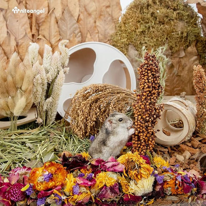 Niteangel Natural &amp; Soft Hamster Bedding Mate Small Animal Habitat Decor for Syrian Dwarf Hamsters Gerbils Mice Degus Bunny or Other Small-Sized Pet