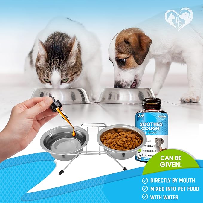 Kennel Cough Treatment &amp; Natural Infection Medicine for Dogs &amp; Cats - Respiratory &amp; Cold Cough Relief - Collapse Trachea &amp; Cat Asthma Support - Made in USA