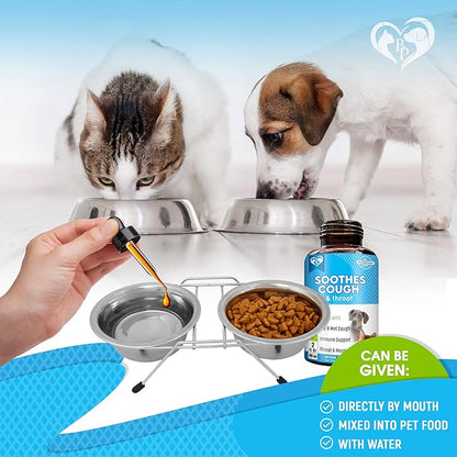 Kennel Cough Treatment &amp; Natural Infection Medicine for Dogs &amp; Cats - Respiratory &amp; Cold Cough Relief - Collapse Trachea &amp; Cat Asthma Support - Made in USA
