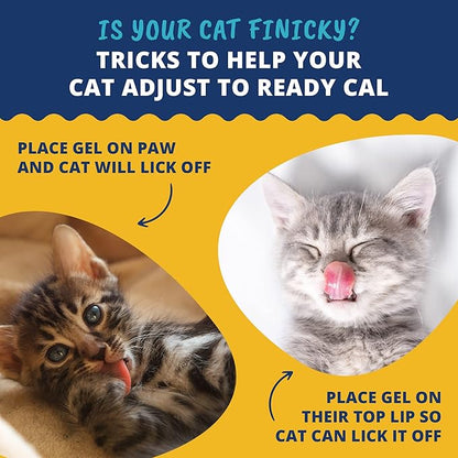 Under the Weather Pet | Ready Cal for Kitten | High Calorie Pet Nutritional Supplement for Weight Gain &amp; Healthy Weight Maintenance | 10 Vitamins, 7 Minerals, Omega Fatty Acids &amp; Carbohydrates | 80cc