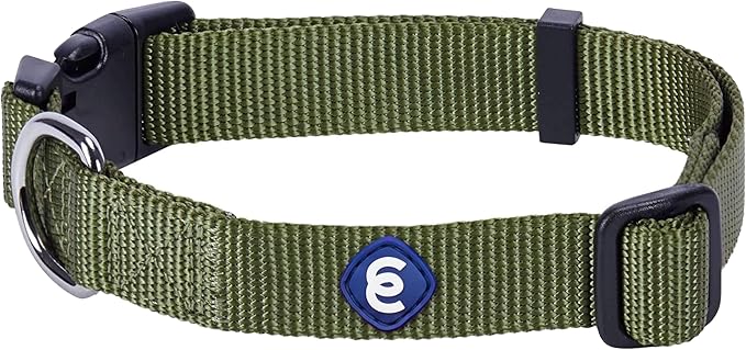 Blueberry Pet Essentials Medium Dog Collar in Military Green | Adjustable &amp; Eco-Friendly Durable Nylon Strap | Classic Collar for Medium Dogs, Boy &amp; Girl Pets