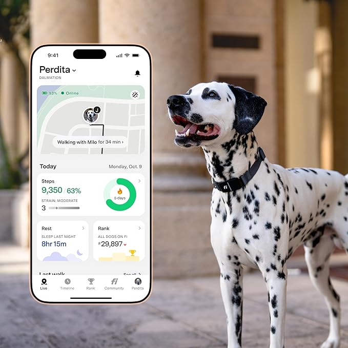 New Fi Series 3+ Smart Dog Tracker Collar – AI GPS for Dogs, Health &amp; Behavior Monitor, Virtual Fence, Escape Alerts, Waterproof, Apple Watch Compatible 12Mo Membership Included
