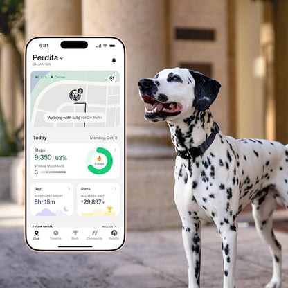 New Fi Series 3+ Smart Dog Tracker Collar – AI GPS for Dogs, Health &amp; Behavior Monitor, Virtual Fence, Escape Alerts, Waterproof, Apple Watch Compatible 12Mo Membership Included