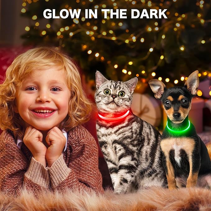 BSEEN Light Up Dog Collar - Rainproof LED Dog Collar Rechargeable - TPU Cuttable Glowing Puppy Collar for Small Dogs&amp; Cats, High Visibility Safety Dog Lights for Night Walking (XS-Red 40cm)