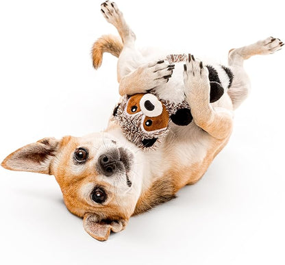 Playology Dog Toys | Plush Toy Raccoon &amp; Squirrel (Value 2-Pack) Stuffed Animal for Dogs | Small Peanut Butter/Sweet Potato Scented Toys - Easy to Clean and Made from Non Toxic Materials