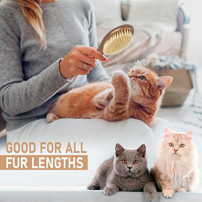 Takavu Natural White Boar Bristle Cat Brush - Gentle Grooming Tool for Sensitive Skin, Smoothing Fur &amp; Healthy Shine - Soft Pet Brush