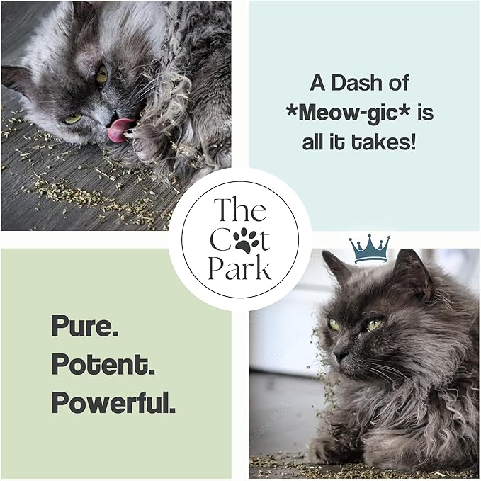 Organic Catnip for Cats &amp; Kittens – 1.76 oz Premium Natural Catnip, High Potency Blend for Playtime, Training, and Stress Relief, 2 Cups of Dried Cat Nip Leaves