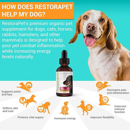 RestoraPet 1-Pack Dog &amp; Cat Bacon Liquid Multivitamin | Dog Arthritis Pain Relief | Hip &amp; Joint Vitamins for Dogs - Anti Inflammatory Supplement for Dogs &amp; Cats | Organic &amp; Non-GMO, Vet Approved