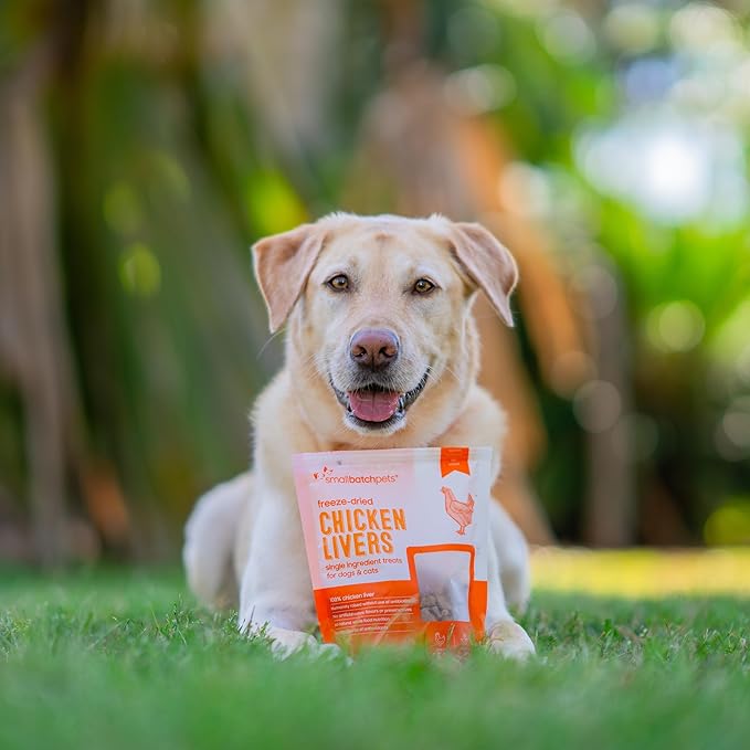 smallbatch Freeze Dried Dog Treats, Chicken Liver Treats for Dogs &amp; Cats, High Protein, Single Ingredient Dog Treat for Training or Food Topper, Natural, Humanely Sourced Meat, Made in the USA, 3.5 oz