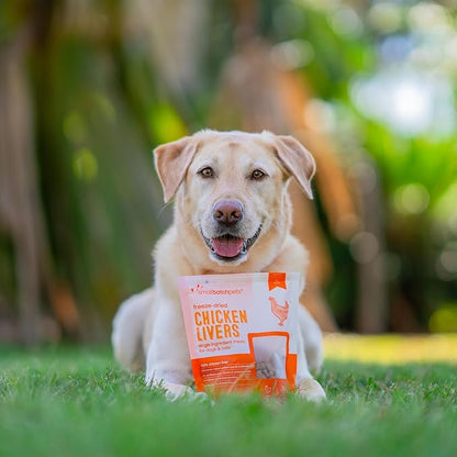 smallbatch Freeze Dried Dog Treats, Chicken Liver Treats for Dogs &amp; Cats, High Protein, Single Ingredient Dog Treat for Training or Food Topper, Natural, Humanely Sourced Meat, Made in the USA, 3.5 oz