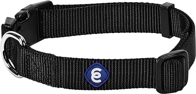 Blueberry Pet Essentials Small Dog Collar in Black | Adjustable &amp; Eco-Friendly Durable Nylon Strap | Classic Collar for Small Dogs, Boy &amp; Girl Pets