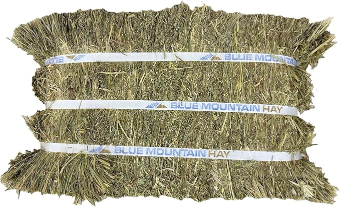 Blue Mountain Hay High-Altitude Teff Grass Hay, 50lb Easy Flake Box - Low NSC &amp; High Fiber for Easy Digestion and Weight Management - Ideal for Horses, Goats, Rabbits, Guinea Pigs &amp; Other Small Pets