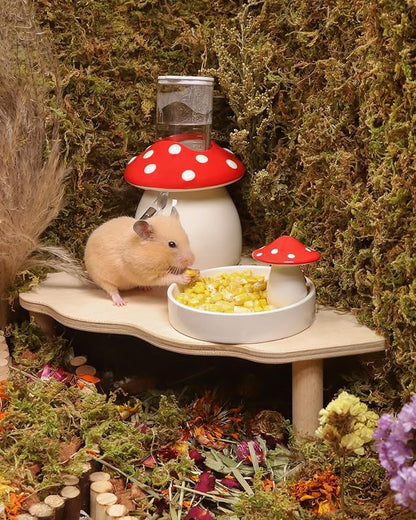 Niteangel Hamster Snack &amp; Treats Toy - Small Animal Natural Treat for Dwarf Syrian Robo Hamsters Gerbils Mice Lemmings Degus or Other Small-Sized Pets