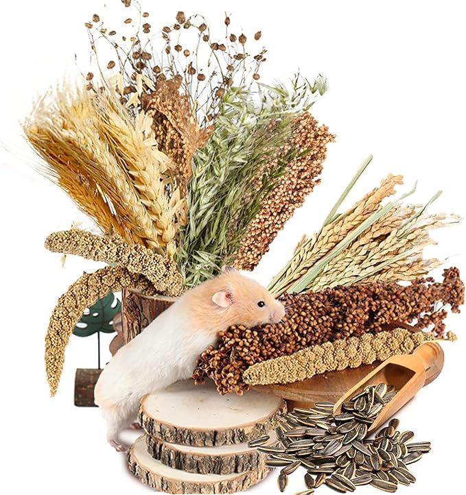 Natural Ear of Grain Flower&amp;Herb Bedding Mate Habitat Decor, Adding Fun Hamster Accessories for Hamsters Gerbils Lemming
