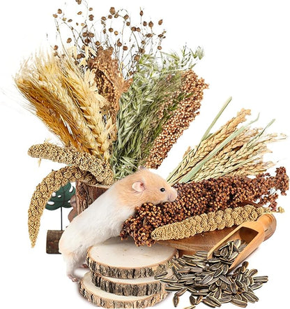 Natural Ear of Grain Flower&amp;Herb Bedding Mate Habitat Decor, Adding Fun Hamster Accessories for Hamsters Gerbils Lemming