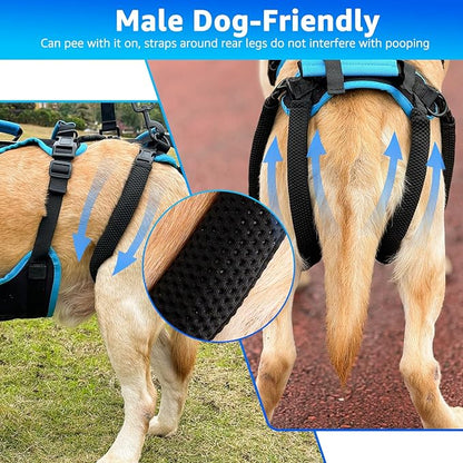 Dog Lift Harness for Large Male Dogs, 2-in-1, Back Leg Support &amp; Mobility Assistance for Senior Dogs, Post-Surgery Recovery Sling(Black, Large)