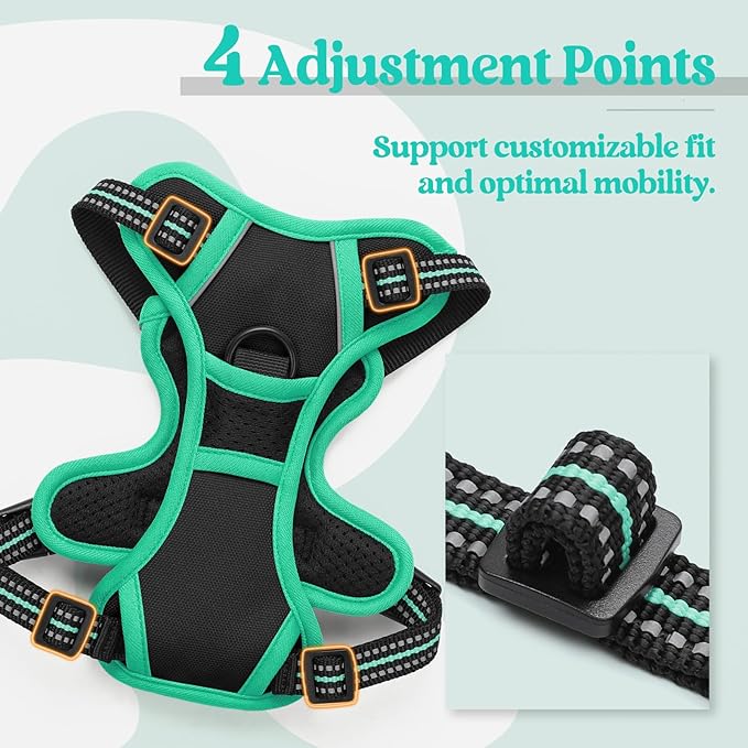 rabbitgoo Dog Harness No Pull with 2 Leash Clips, Adjustable Soft Padded, Reflective Oxford No Choke Pet Vest with Easy Control Handle for Puppy, Black &amp; Turquoise, XS