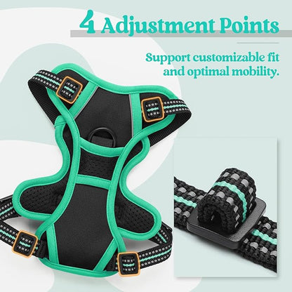 rabbitgoo Dog Harness No Pull with 2 Leash Clips, Adjustable Soft Padded, Reflective Oxford No Choke Pet Vest with Easy Control Handle for Puppy, Black &amp; Turquoise, XS