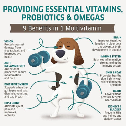 Dog Multivitamin - Dog Vitamins and Supplements - Digestive Enzymes &amp; Probiotics - Probiotics for Dogs - for Skin and Coat Allergies - Immune System &amp; Overall Health - 120 Soft Chew Dog Treats