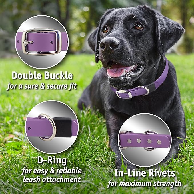 Biothane Custom Dog Collar – Waterproof, Stink-Proof Personalized Collar with Name &amp; Phone Number – Durable, Many Sizes and Colors – Assembled in USA (Hunter Orange)