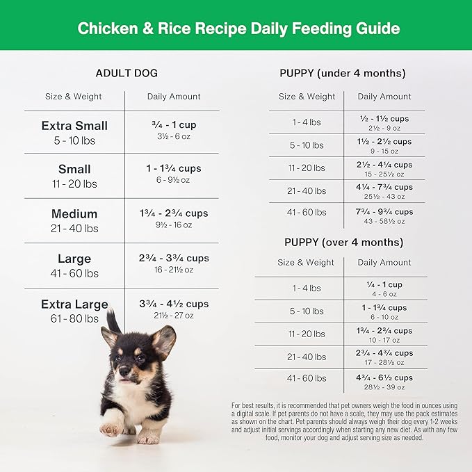 JustFoodForDogs DIY Nutrient Blend for Homemade Dog Food, Chicken &amp; White Rice