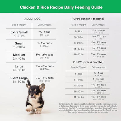 JustFoodForDogs DIY Nutrient Blend for Homemade Dog Food, Chicken &amp; White Rice