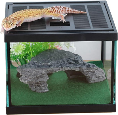 crapelles Glass Lizard Tank, Spider Box Kit, 7.8x7.8x5.9&