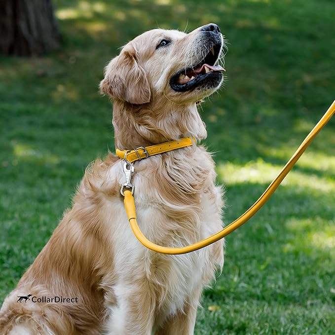 CollarDirect Rolled Leather Dog Collar, Soft Padded Round Puppy Collar, Handmade Genuine Leather Collar Dog Small Large Cat Collars 13 Colors (15-19 Inch, Yellow Textured)
