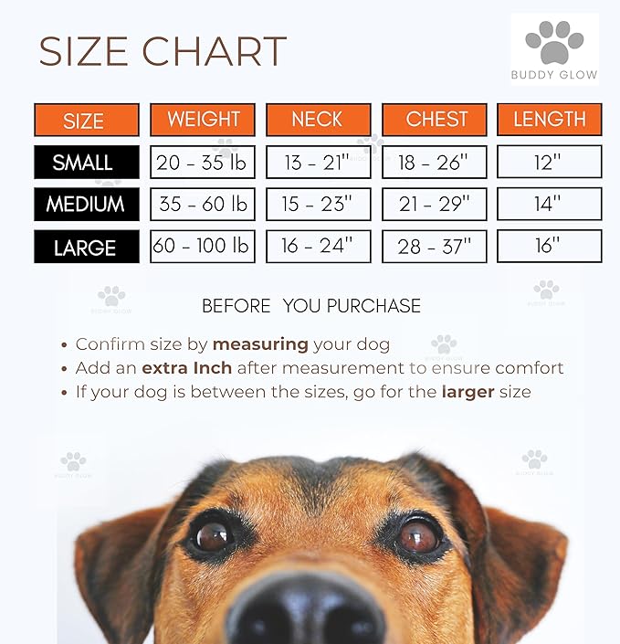Reflective Dog Vest – Fluorescent Orange | High-Visibility, Water-Resistant Safety Jacket with Adjustable Fit for Day &amp; Night Walks, Hiking, Hunting, and Outdoor Use (Large)