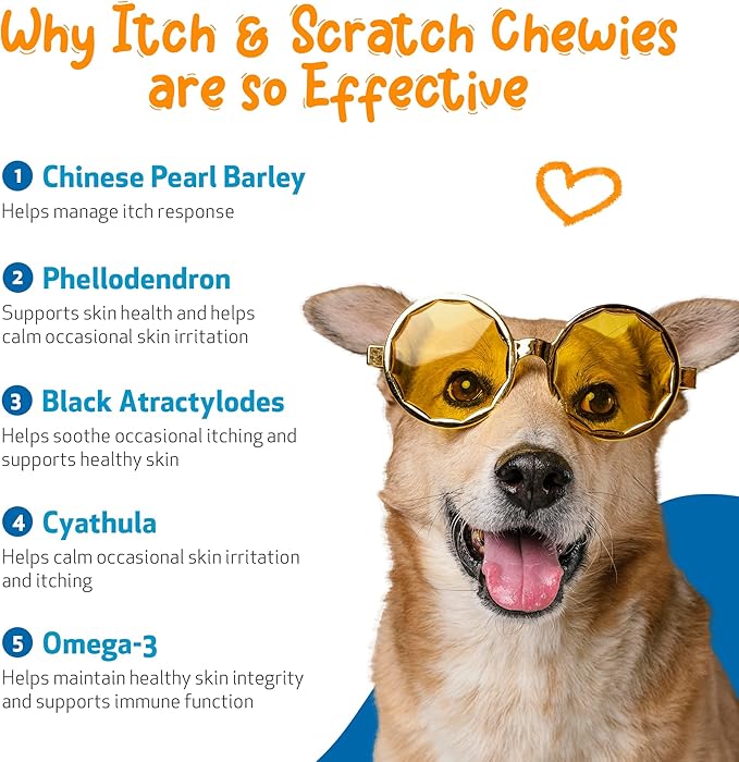 Pet Wellbeing Itch &amp; Scratch Chewies for Dogs - Supports Healthy Itch Response to Occasional Skin Allergies, Skin Health, Chinese Pearl Barley, Phellodendron - Veterinarian-Formulated 90 Soft Chews
