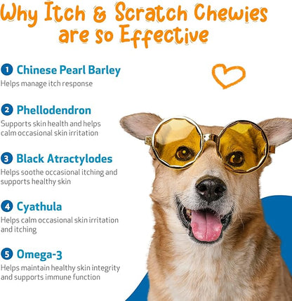 Pet Wellbeing Itch &amp; Scratch Chewies for Dogs - Supports Healthy Itch Response to Occasional Skin Allergies, Skin Health, Chinese Pearl Barley, Phellodendron - Veterinarian-Formulated 90 Soft Chews