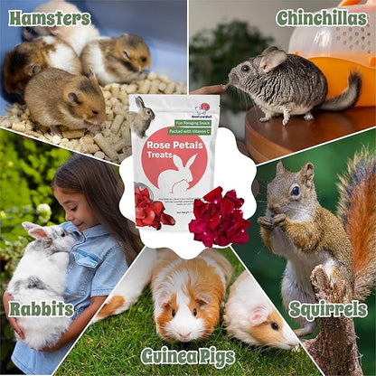 Snout and Shell Rose Petals Treats – Natural Snack for Rabbits, Guinea Pigs &amp; Chinchillas – Vitamin C &amp; Digestive Support, 1 oz