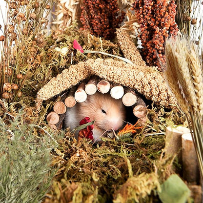Natural Ear of Grain Flower&amp;Herb Bedding Mate Habitat Decor, Adding Fun Hamster Accessories for Hamsters Gerbils Lemming