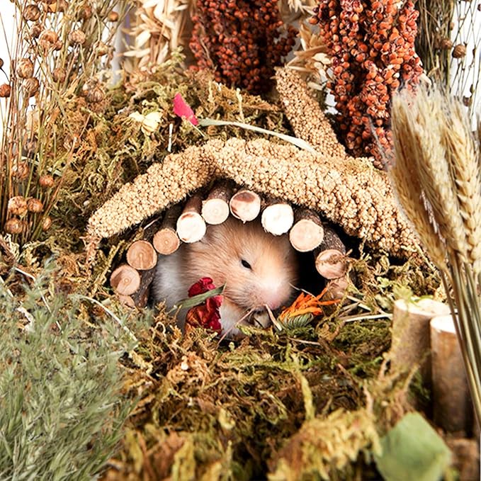 Natural Ear of Grain Flower&amp;Herb Bedding Mate Habitat Decor, Adding Fun Hamster Accessories for Hamsters Gerbils Lemming
