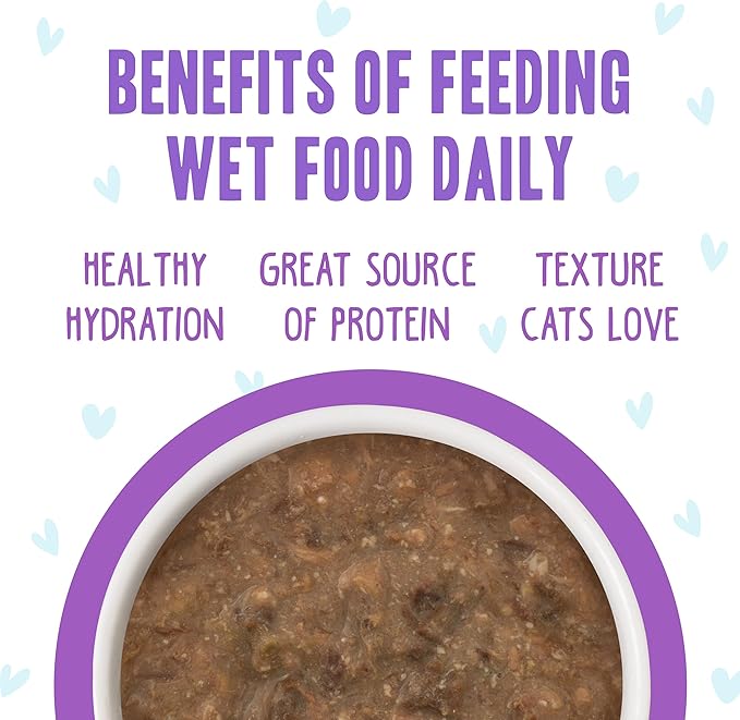 Weruva B.F.F. OMG - Best Feline Friend Oh My Gravy!, Best Day Eva! with Beef &amp; Salmon in Gravy Cat Food, 5.5oz Can (Pack of 8)