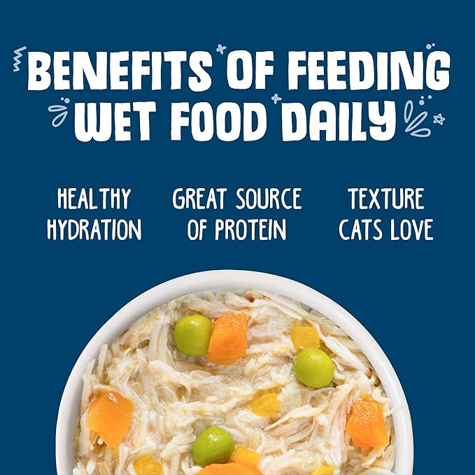 Weruva Classic Cat Food, Grandma?S Chicken Soup with Chicken Breast &amp; Veggies, 5.5Oz Can (Pack of 24)