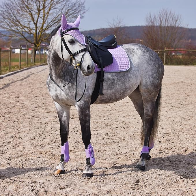 HORZE Adepto Padded All Purpose Quilted Equestrian Saddle Pad for Horses with Two-Tone Trim