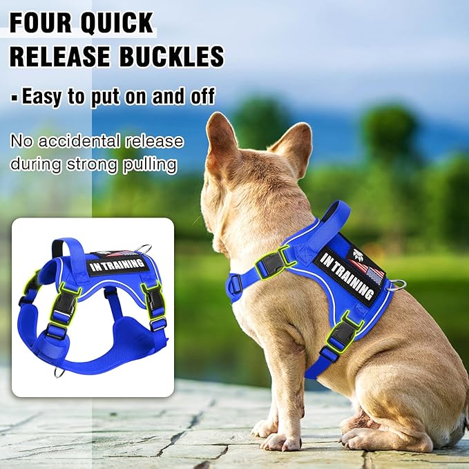 WINSEE Service Dog in Training Harness with 5 PCS Patches, Reflective Tactical Dog Vest Harness, Adjustable Soft Oxford Pet Harness with Easy Control Handle, Hook &amp; Loop Panels for Walking Hiking