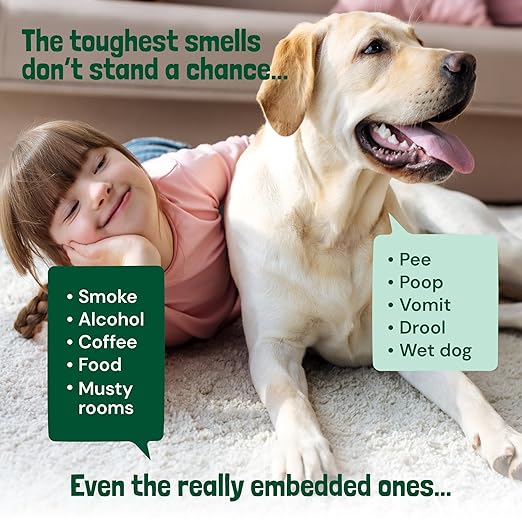 Sunny &amp; Honey Carpet Deodorizer Powder - 20 Oz, Spring Mint - Odor Eliminator &amp; Rug Freshener Powder for Pets &amp; Kids