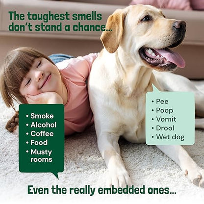 Sunny &amp; Honey Carpet Deodorizer Powder - 20 Oz, Spring Mint - Odor Eliminator &amp; Rug Freshener Powder for Pets &amp; Kids